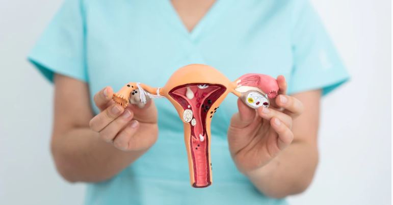 Urogynecologist In Houston