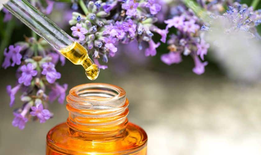 essential oils for oral care